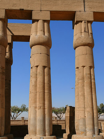 Foto Säulen - Luxor