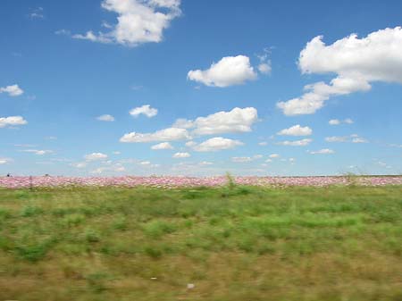 Foto Landschaften - 