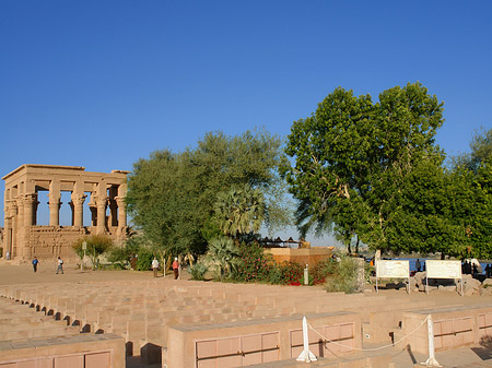 Foto Tempel zwischen Bäumen - 