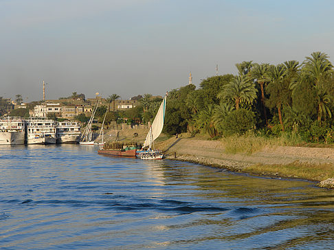 Foto Felucca