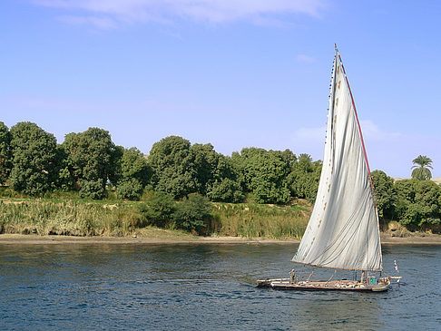 Felucca Foto 