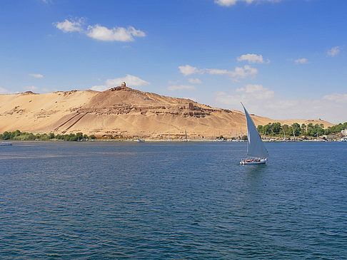 Felucca