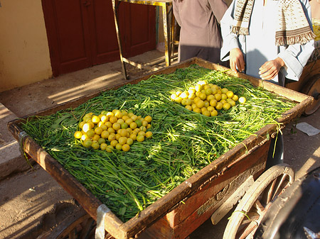 Foto Markt