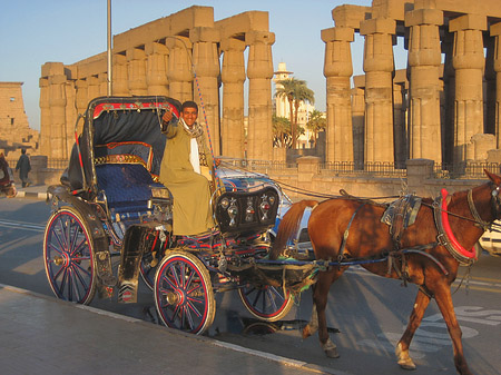 Fotos Luxor Tempel bei Sonnenuntergang