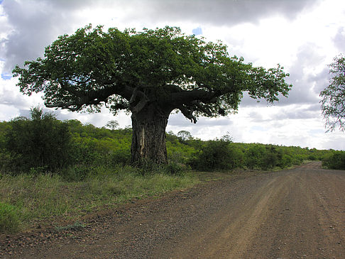 Fotos Straßen