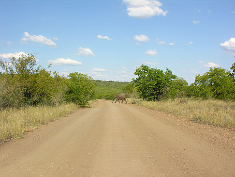 Straßen Foto 