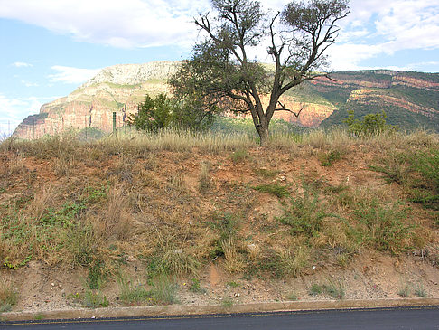 Foto Straßenränder - Blyde River Canyon