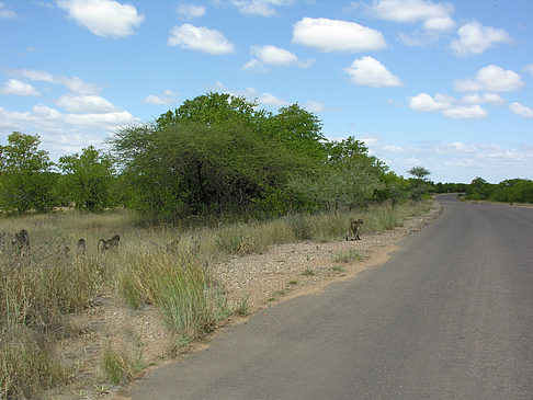 Foto Straßenränder