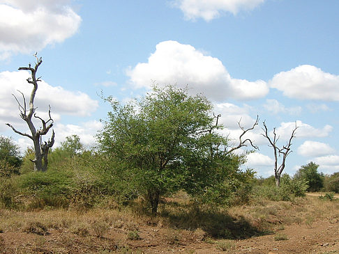 Foto Landschaften