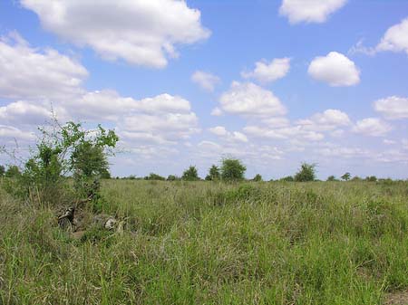 Landschaften