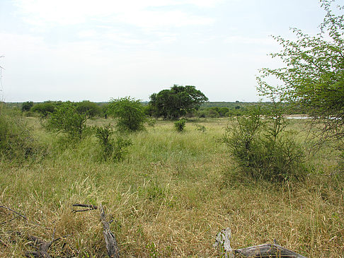 Foto Landschaften