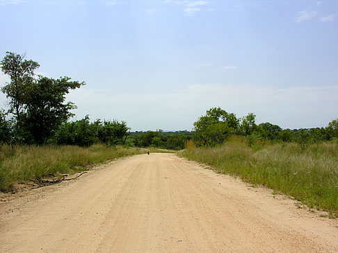 Straßen Fotos