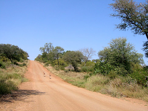 Fotos Straßen