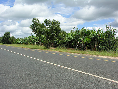 Foto Straßen - Hazyview