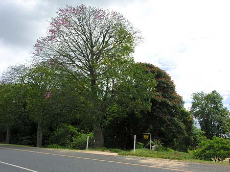 Straßenränder Fotos