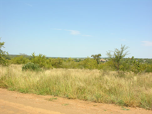 Foto Straßenrand