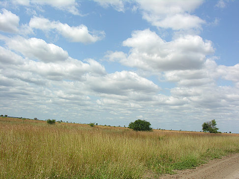 Fotos Straßenrand