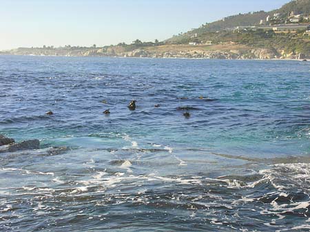 Foto Blick vom Strand auf das Meer