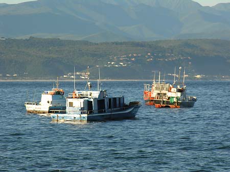 Foto Boote nahe dem Strand - 