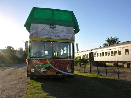 Bus in Mossel Bay