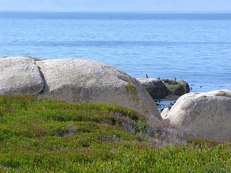 Felsen am Strand Foto 