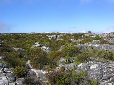 Landschaften Fotos