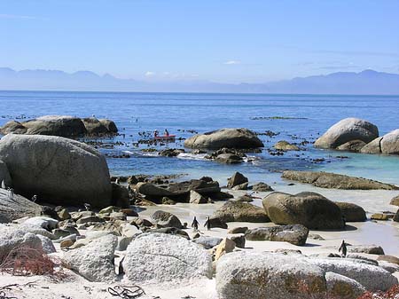 Fotos Pinguine am Strand