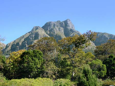 Der Tafelberg Fotos