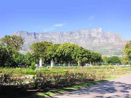 Foto Kapstadt und Camps Bay